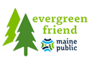 Maine Public Evergreen